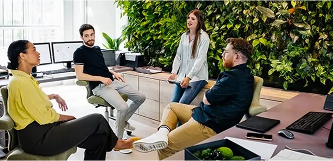 Elonky Team at Work
